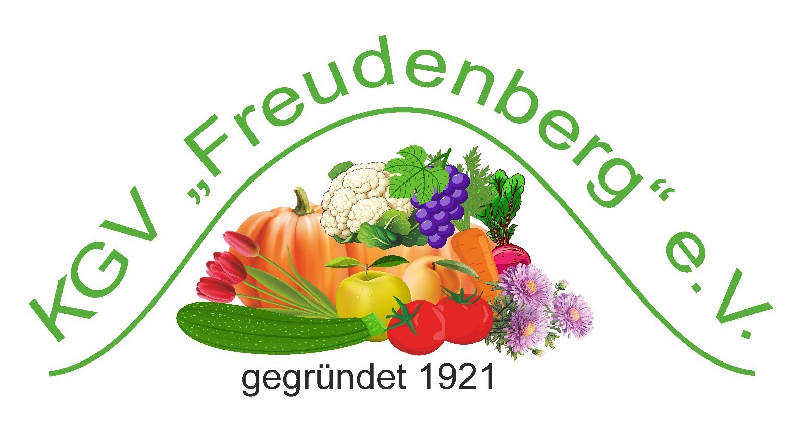 KGV Freudenberg e.V.